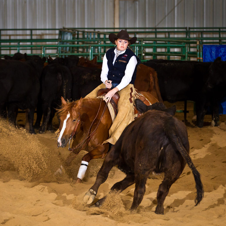 Findlay Western Equestrian